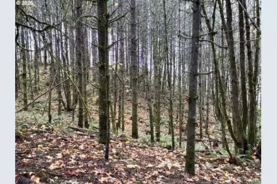 Ingram Rd, Lebanon, OR 97355 - Photo 19