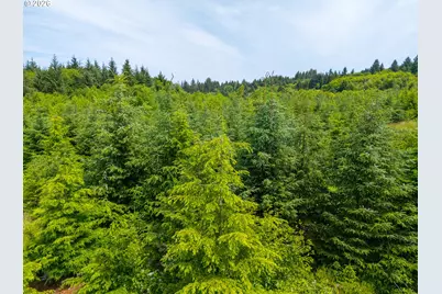 0 Youngs River Rd, Astoria, OR 97103 - Photo 3
