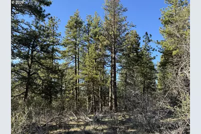 Badger Lane, Bonanza, OR 97623 - Photo 23