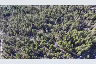 Badger Lane, Bonanza, OR 97623 - Photo 3