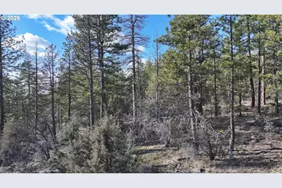 Badger Lane, Bonanza, OR 97623 - Photo 9