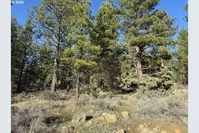 Badger Lane, Bonanza, OR 97623 - Photo 29