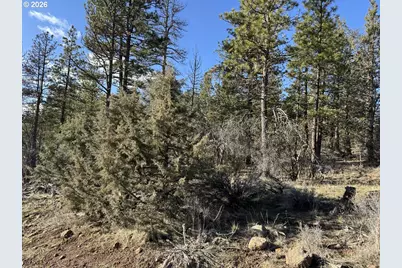 Badger Lane, Bonanza, OR 97623 - Photo 25