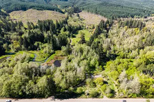 21542 Hwy 126, Noti, OR 97461 - Photo 19