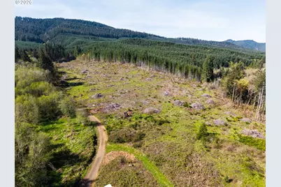 21542 Highway 126, Noti, OR 97461 - Photo 21