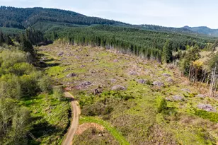 21542 Hwy 126, Noti, OR 97461 - Photo 21