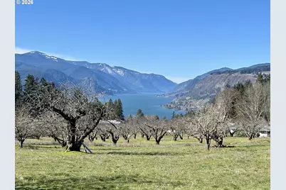 Sw Cherry Blossom Ln, White Salmon, WA 98672 - Photo 5