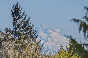 13623 Barclay Hills Dr, Oregon City, OR 97045 - Photo 23