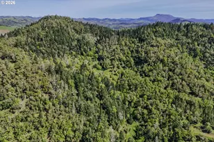 982 Brumbach Rd, Roseburg, OR 97470 - Photo 47