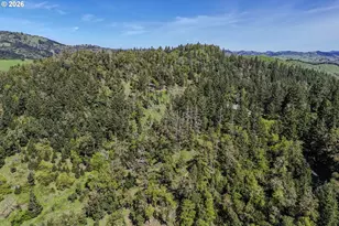 982 Brumbach Rd, Roseburg, OR 97470 - Photo 45