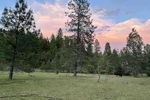 5875 Little River Rd, Glide, OR 97443 - Photo 25