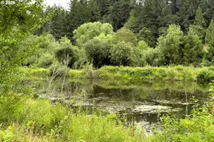 217 NW 117th Loop, Portland, OR 97229 - Photo 45