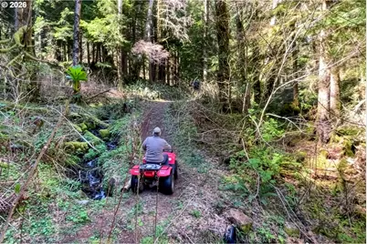 23100 Miami Foley Rd, Nehalem, OR 97131 - Photo 13