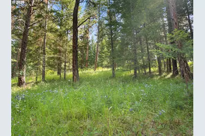 70286 Haefer Ln, Cove, OR 97824 - Photo 31