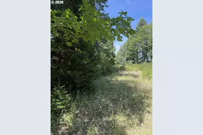 0 Milky Way Dr, Drain, OR 97435 - Photo 3