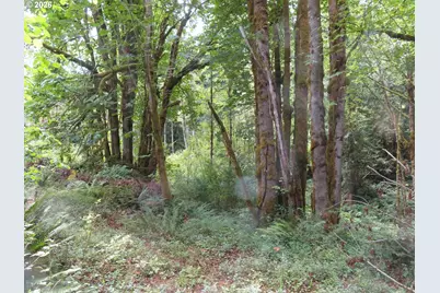 Valley View Dr #11, Mossyrock, WA 98564 - Photo 9
