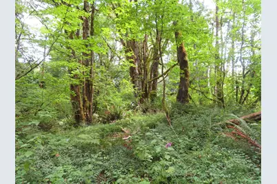 Valley View Dr #11, Mossyrock, WA 98564 - Photo 3