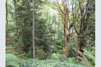 Valley View Dr #11, Mossyrock, WA 98564 - Photo 11