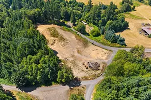 58996 Pebble Creek Rd, Vernonia, OR 97064 - Photo 7