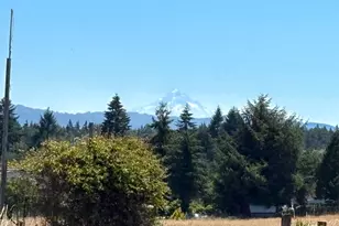 26417 NE 31st Ct, Ridgefield, WA 98642 - Photo 47