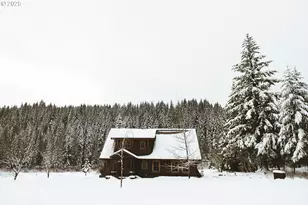 230 Jennings Rd, Trout Lake, WA 98650 - Photo 47