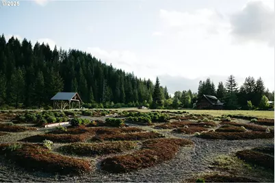 230 Jennings Rd, Trout Lake, WA 98650 - Photo 25