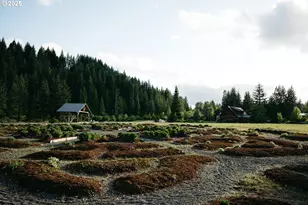 230 Jennings Rd, Trout Lake, WA 98650 - Photo 25