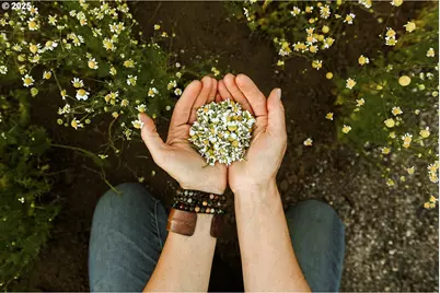 230 Jennings Rd, Trout Lake, WA 98650 - Photo 23