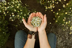 230 Jennings Rd, Trout Lake, WA 98650 - Photo 23