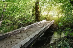 230 Jennings Rd, Trout Lake, WA 98650 - Photo 43