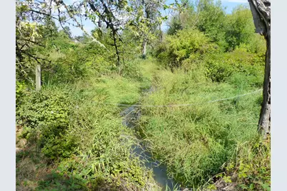 11062 SE 172nd Ave, Happy Valley, OR 97086 - Photo 23