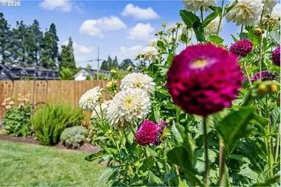 801 Pintail St, Silverton, OR 97381 - Photo 33