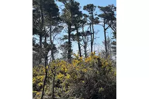 00 18th St SW, Bandon, OR 97411 - Photo 1