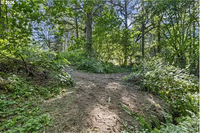 Ne Santiam Way, Albany, OR 97322 - Photo 7
