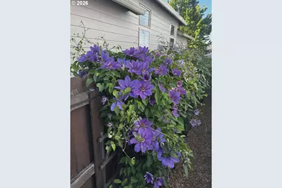 10907 NE 88th St, Vancouver, WA 98662 - Photo 25