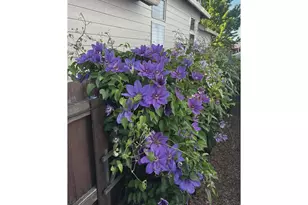 10907 NE 88th St, Vancouver, WA 98662 - Photo 25