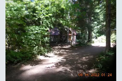 Cabin 188 Northwoods, Cougar, WA 98616 - Photo 3