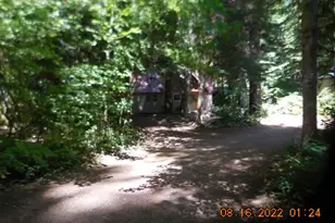 Cabin 188 Northwoods, Cougar, WA 98616 - Photo 3