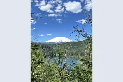 Cabin 188 Northwoods, Cougar, WA 98616 - Photo 15