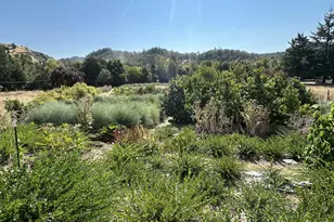 1239 N Myrtle Rd, Myrtle Creek, OR 97457 - Photo 3