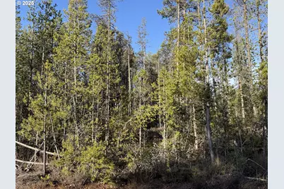 Artesian Dr #L-7, Chiloquin, OR 97624 - Photo 21