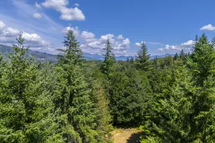 S Cedar Mill Rd, Lyons, OR 97358 - Photo 15