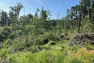 S Cedar Mill Rd, Lyons, OR 97358 - Photo 27