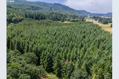 S Cedar Mill Rd, Lyons, OR 97358 - Photo 7