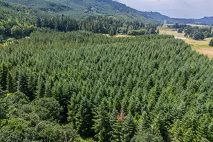 S Cedar Mill Rd, Lyons, OR 97358 - Photo 7