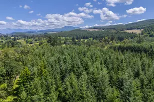 S Cedar Mill Rd, Lyons, OR 97358 - Photo 13