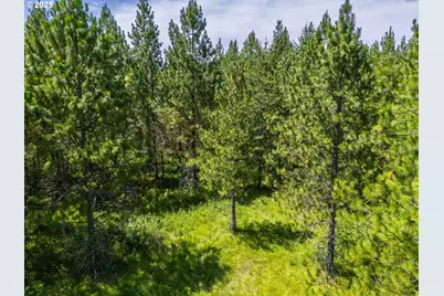 S Cedar Mill Rd, Lyons, OR 97358 - Photo 9