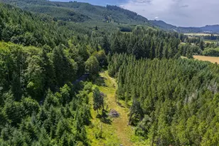 S Cedar Mill Rd, Lyons, OR 97358 - Photo 17