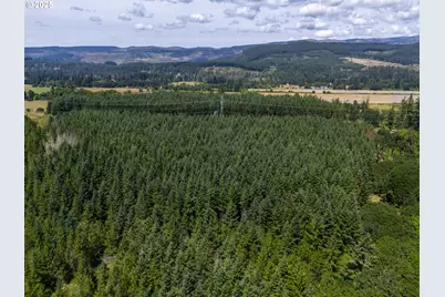 S Cedar Mill Rd, Lyons, OR 97358 - Photo 5