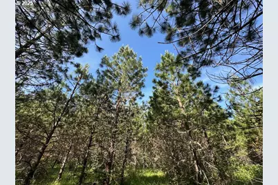 S Cedar Mill Rd, Lyons, OR 97358 - Photo 19